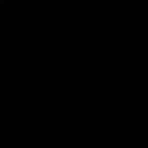 Meet your Posher, Qiana